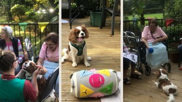 Therapy pup visits Stamford Court